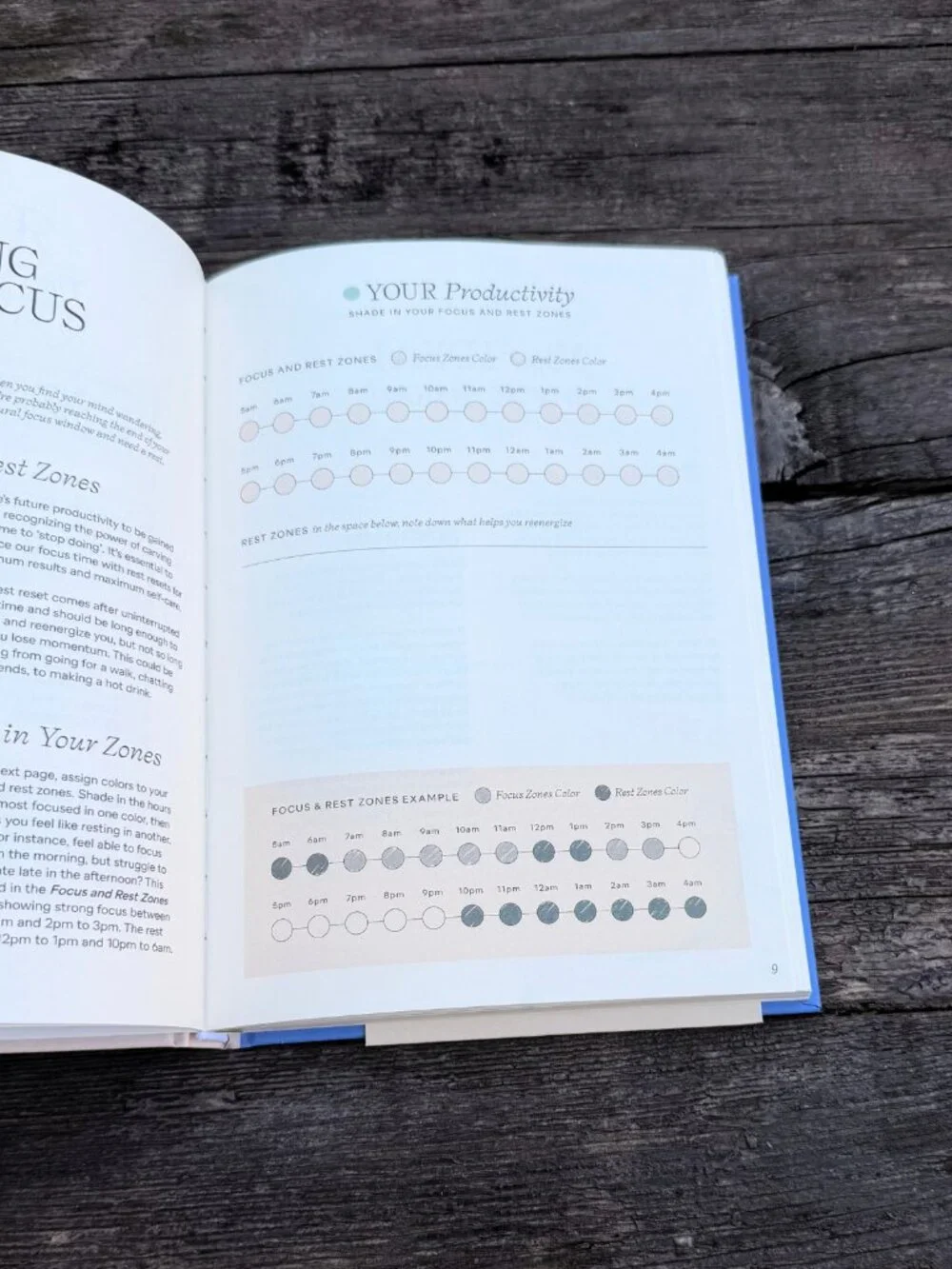 NEW Blue & Cream Papier “Start Fresh Everyday” 16 Week Productivity Planner